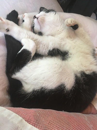 薪ストーブは非常時、災害時における熱源になり得るか？