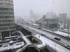 朝起きたら雪景色でした！東北にいますが、天気予報どおりです！(2019.1.9)