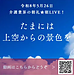 【令和8年5月26日　たまには上空からの景色を】(2026.5.26)