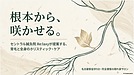 治療だけでは終わらない鍼灸院へ