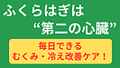 Day049：ふくらはぎは第二の心臓？毎日やりたい「ふくらはぎケア」
