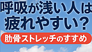 Day056：呼吸が浅い人は疲れやすい？「肋骨ストレッチ」のすすめ！