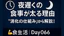 Day066：夜遅くの食事が太る理由｜“消化の仕組み”から解説！