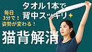 Day077：猫背解消！タオル1本でできる背中ストレッチ！