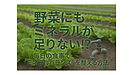 Day143:【驚きの現実】野菜にもミネラルが足りない!?｜毎日の食事で“ミネラルバランス”を整える3つの方法！