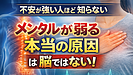 Day179：不安が強い人ほど知らない事実｜ “メンタルが弱る本当の原因”は脳じゃない