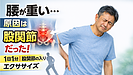 Day203:腰の重だるさを取る“股関節の入り”エクササイズ |腰が原因じゃない人が9割の理由