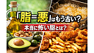 Day220：脂は悪者じゃない？40代から見直す「本当に怖い脂」の正体！