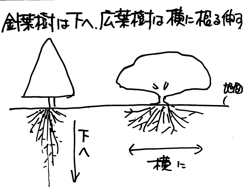 集成材⑬