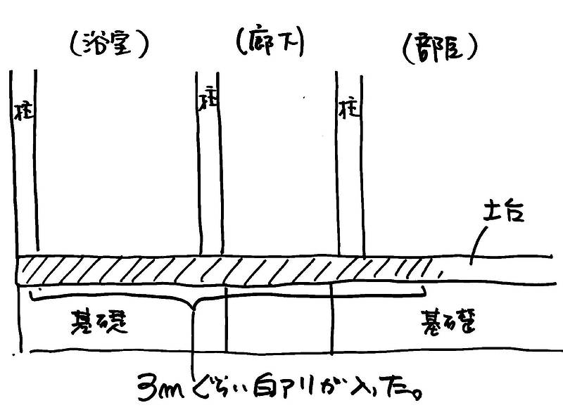 材種は②