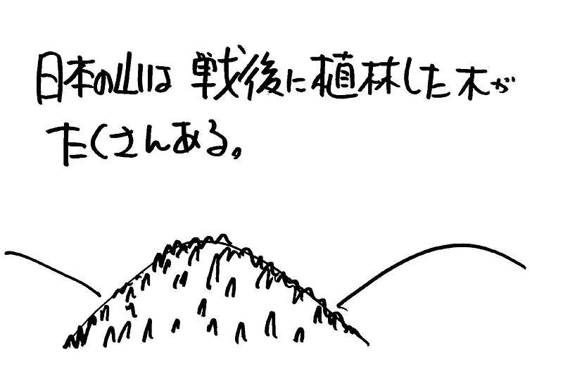 内装に木材が使われなくなった⑪-2