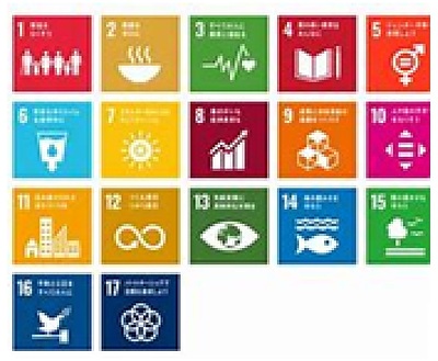 SDGs12について