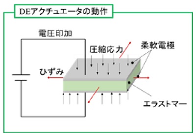 誘電性エラストマー