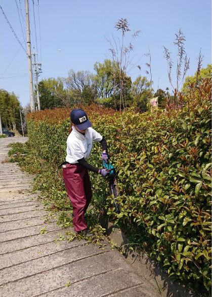 金光美由起さん 剪定風景