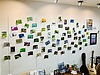 タクミカメラギャラリーにてサクラスリングがつなぐステキな写真展6月も続きます！