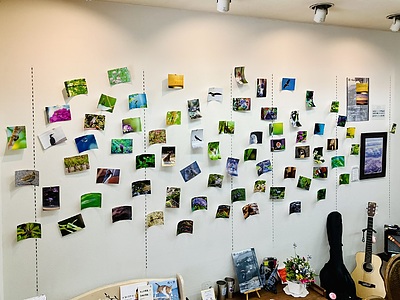 タクミカメラギャラリーにてサクラスリングがつなぐステキな写真展6月も続きます！
