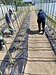 野菜苗の移植作業を行いました