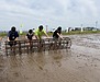 北小学校5年生の皆さんと田植え体験を行いました。