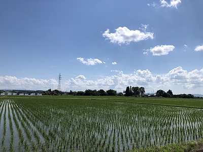 梅雨の季節と、次の収穫への準備