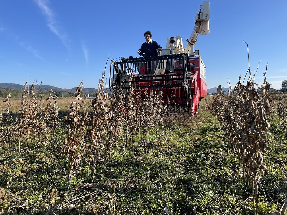 熊谷賢 くまがいまさる
