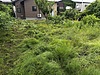 リピーターのお客様からのご依頼