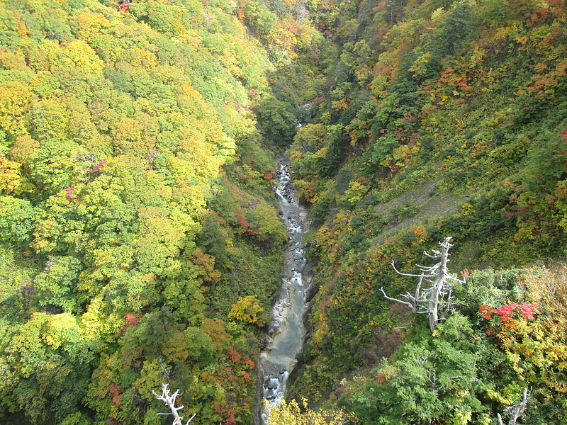 城ヶ倉大橋