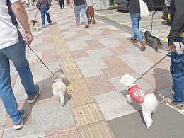 犬とお散歩会