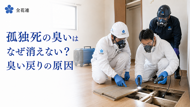 第6弾 第6弾