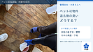 ペット可物件の退去後、臭いが残る――次の入居募集に向けて、管理会社・大家さんへ