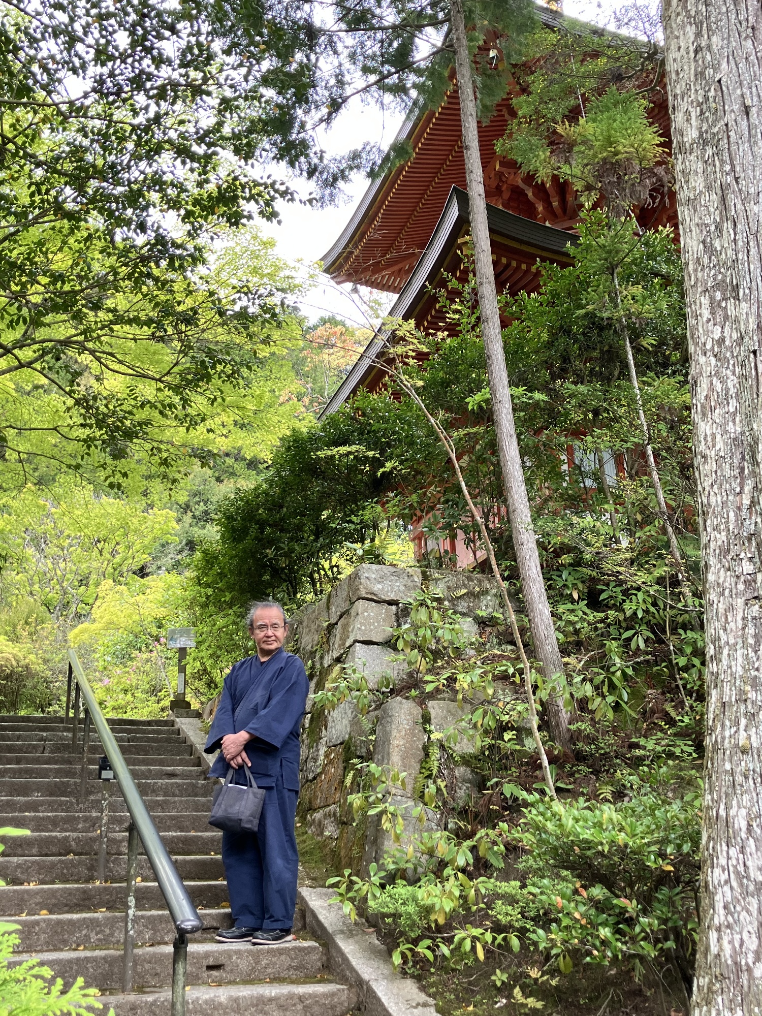 柳生街道沿いにある円成寺多宝塔