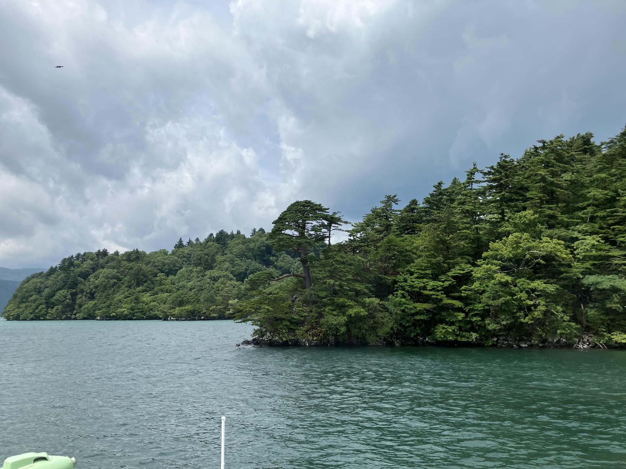 十和田湖遊覧船（双胴船）から見た湖岸