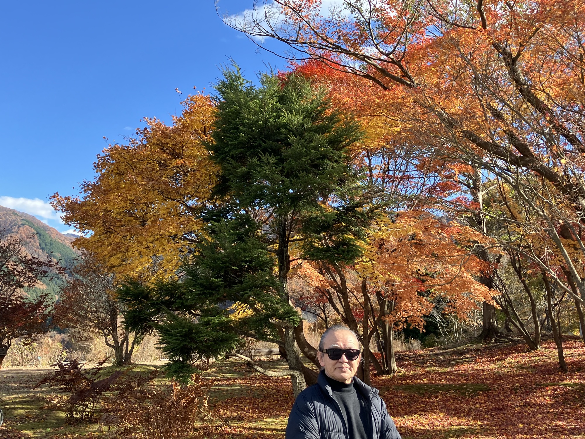 美術館前の風景　紅葉の盛り