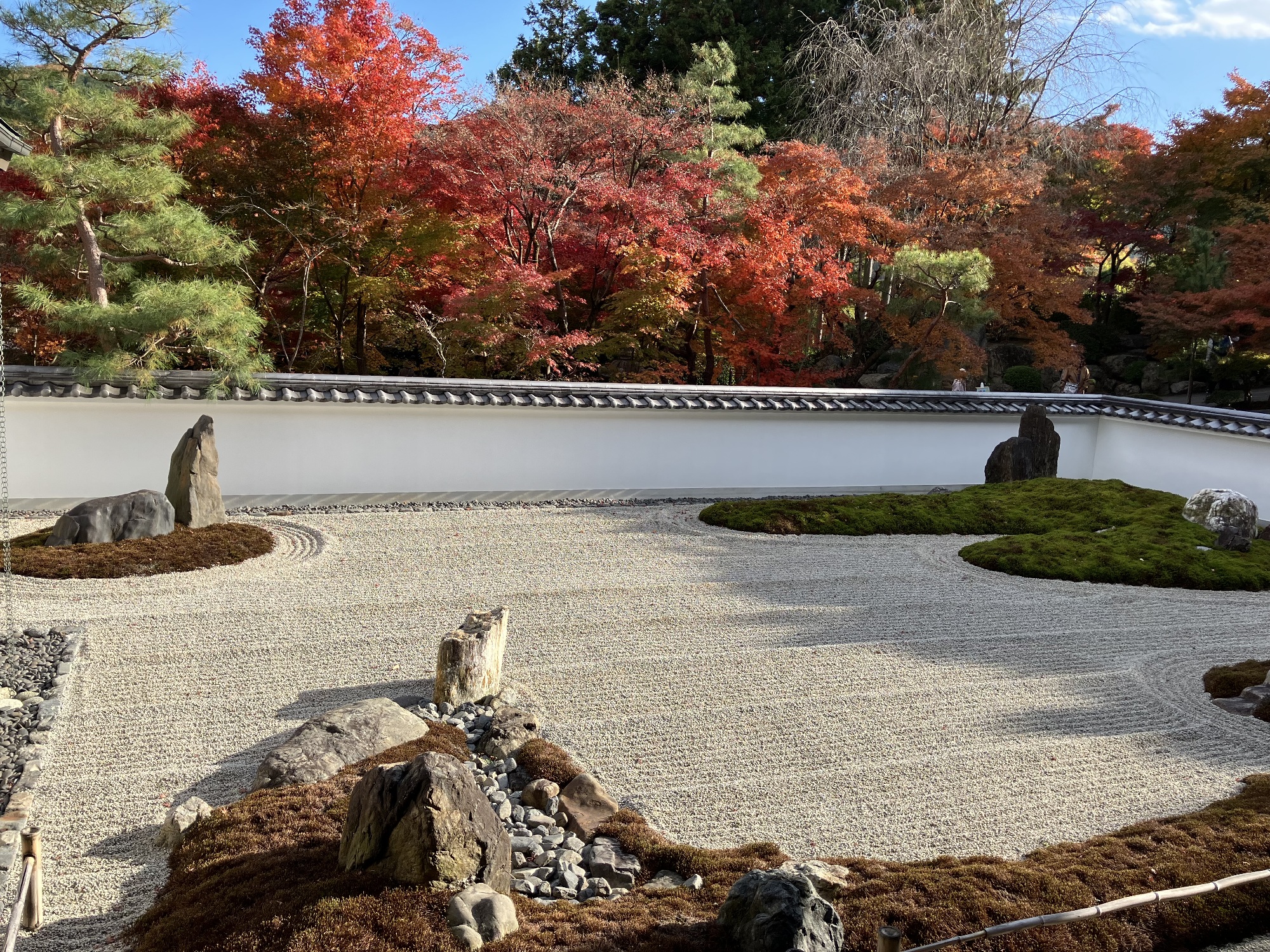 本堂の禅宗式庭園、碧層々の庭