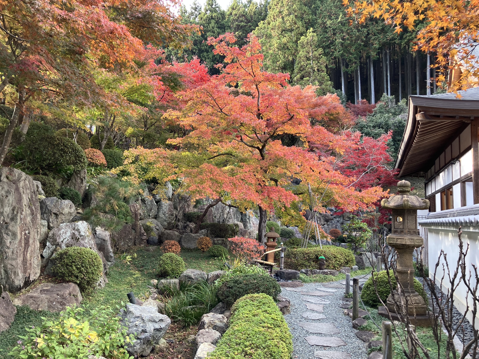 境内の風景　紅葉の盛り