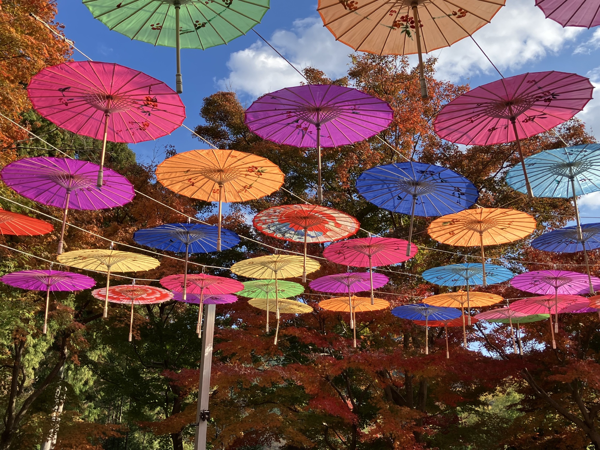 境内で見つけた粋な和傘の意匠