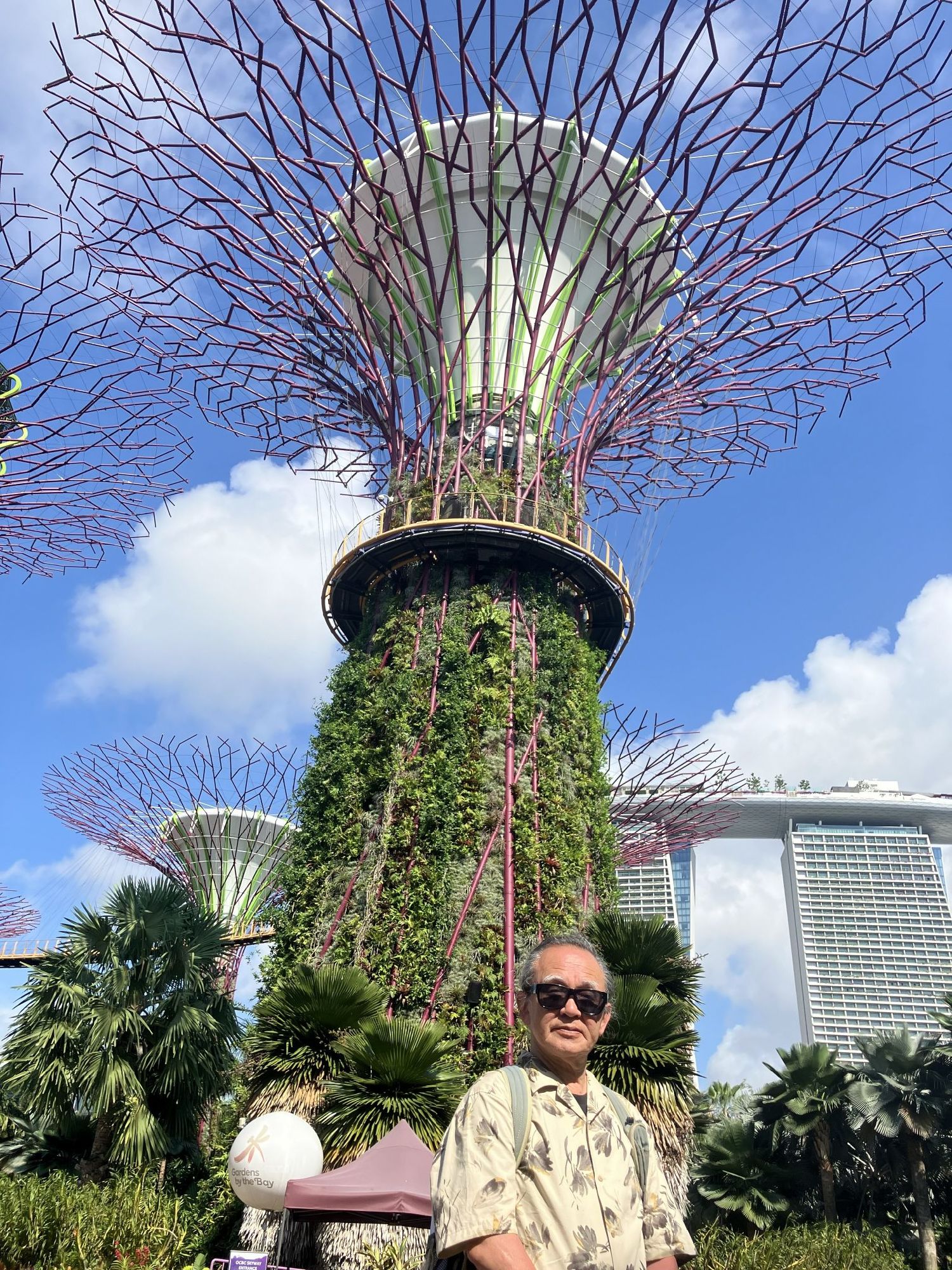 スーパーツリーの前で