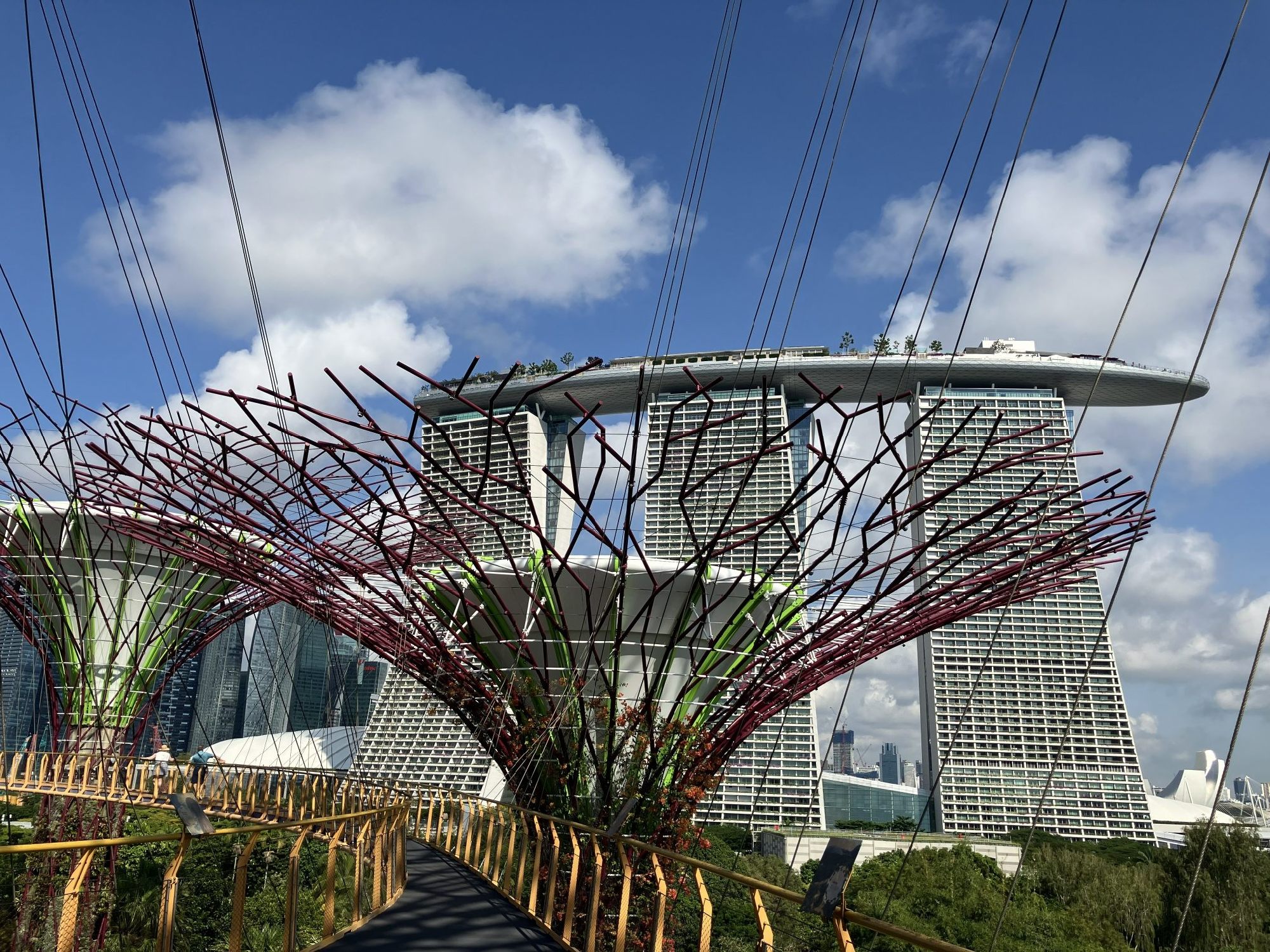 スカイウォークからの眺め