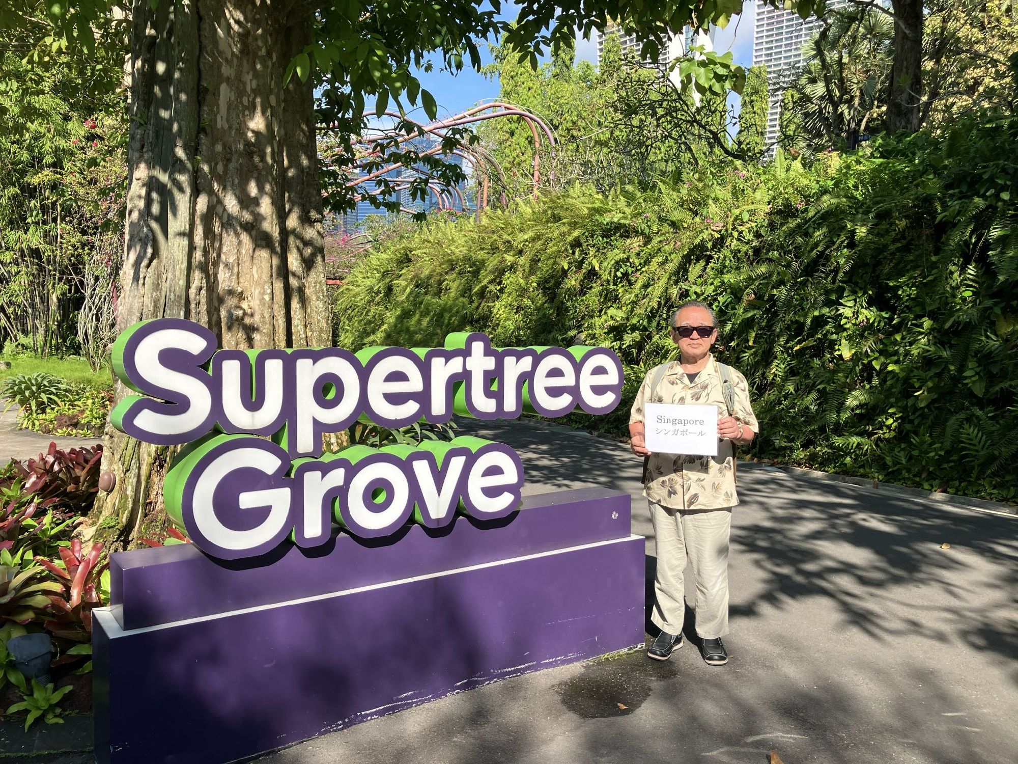 スーパーツリーの森入口で