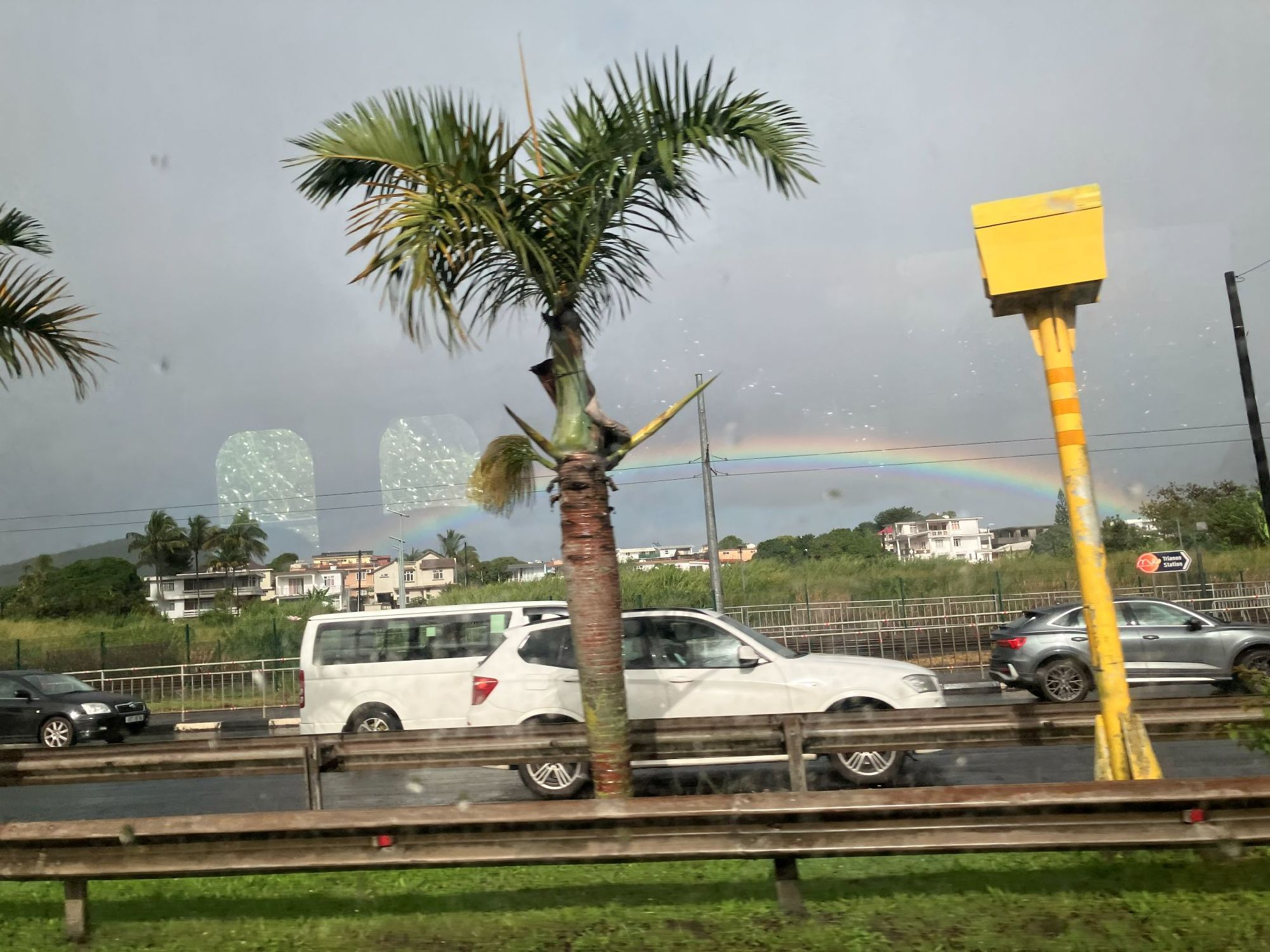 雨上がりの虹がでました