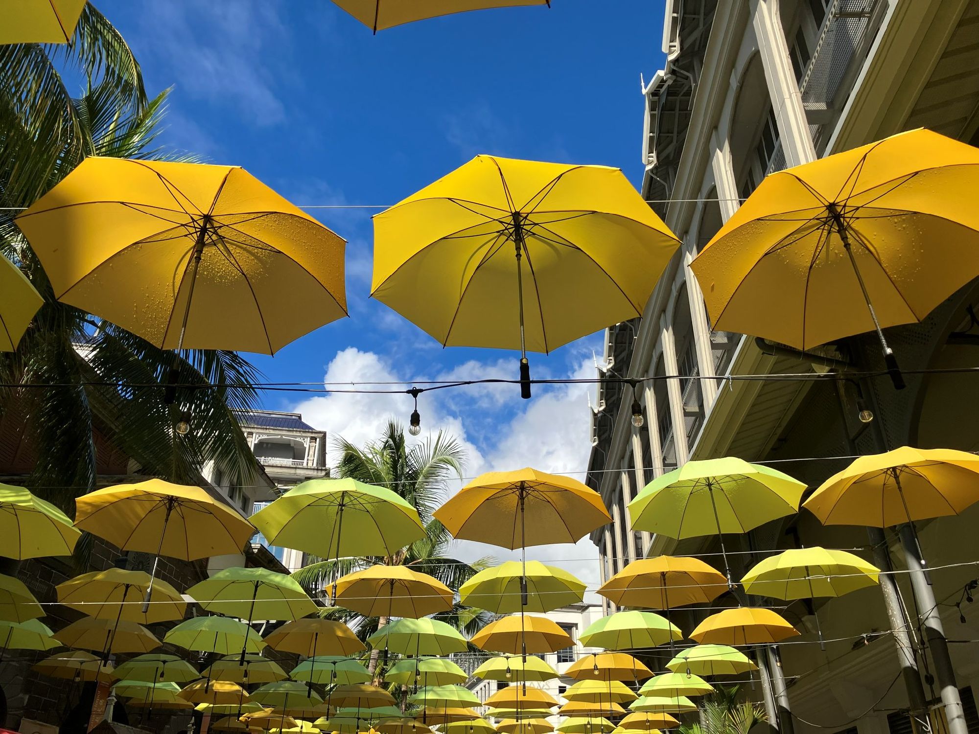 ショッピングモールの演出が美しい