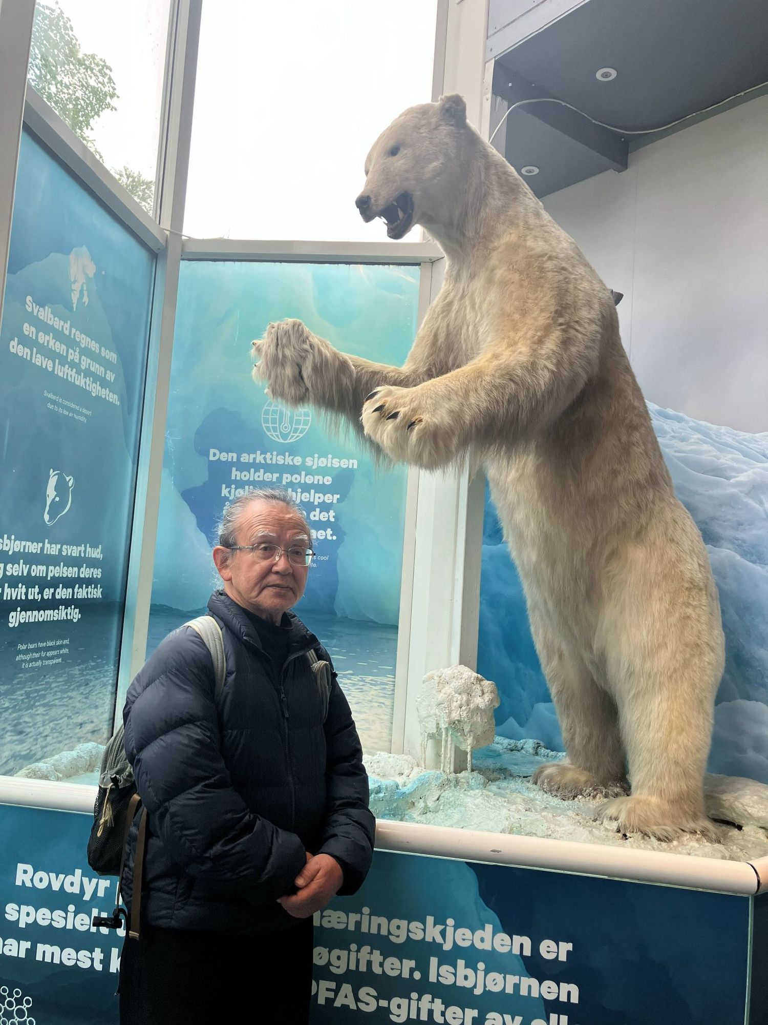 ホッキョクグマの剥製の前で