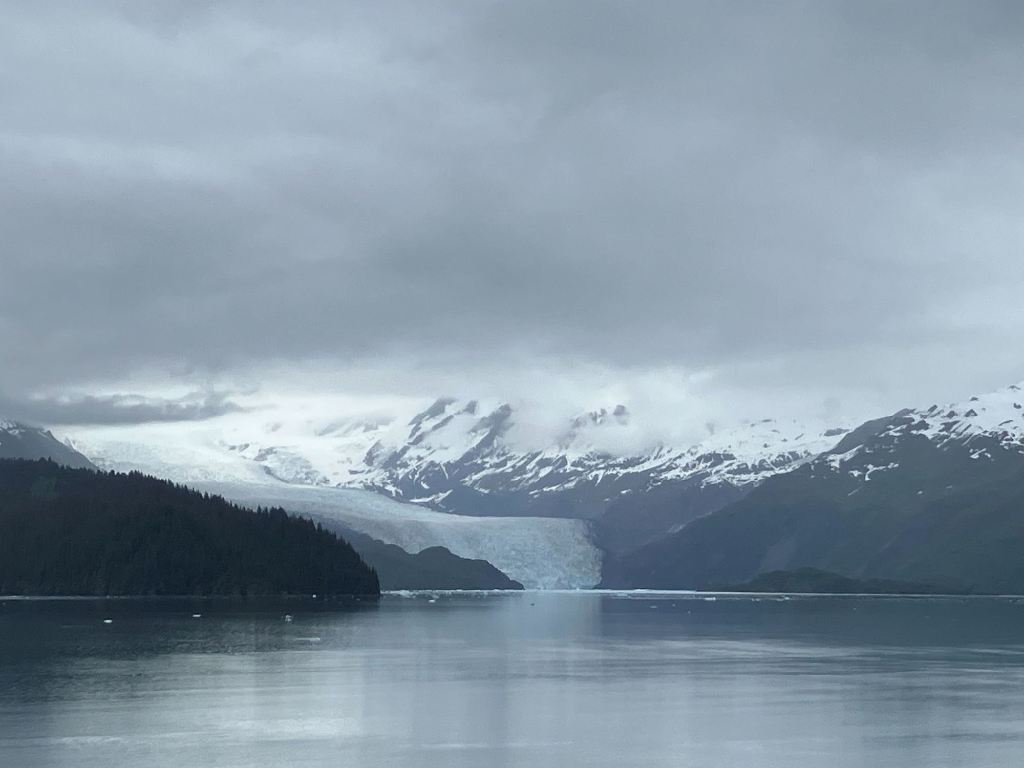 世界最大級の氷河