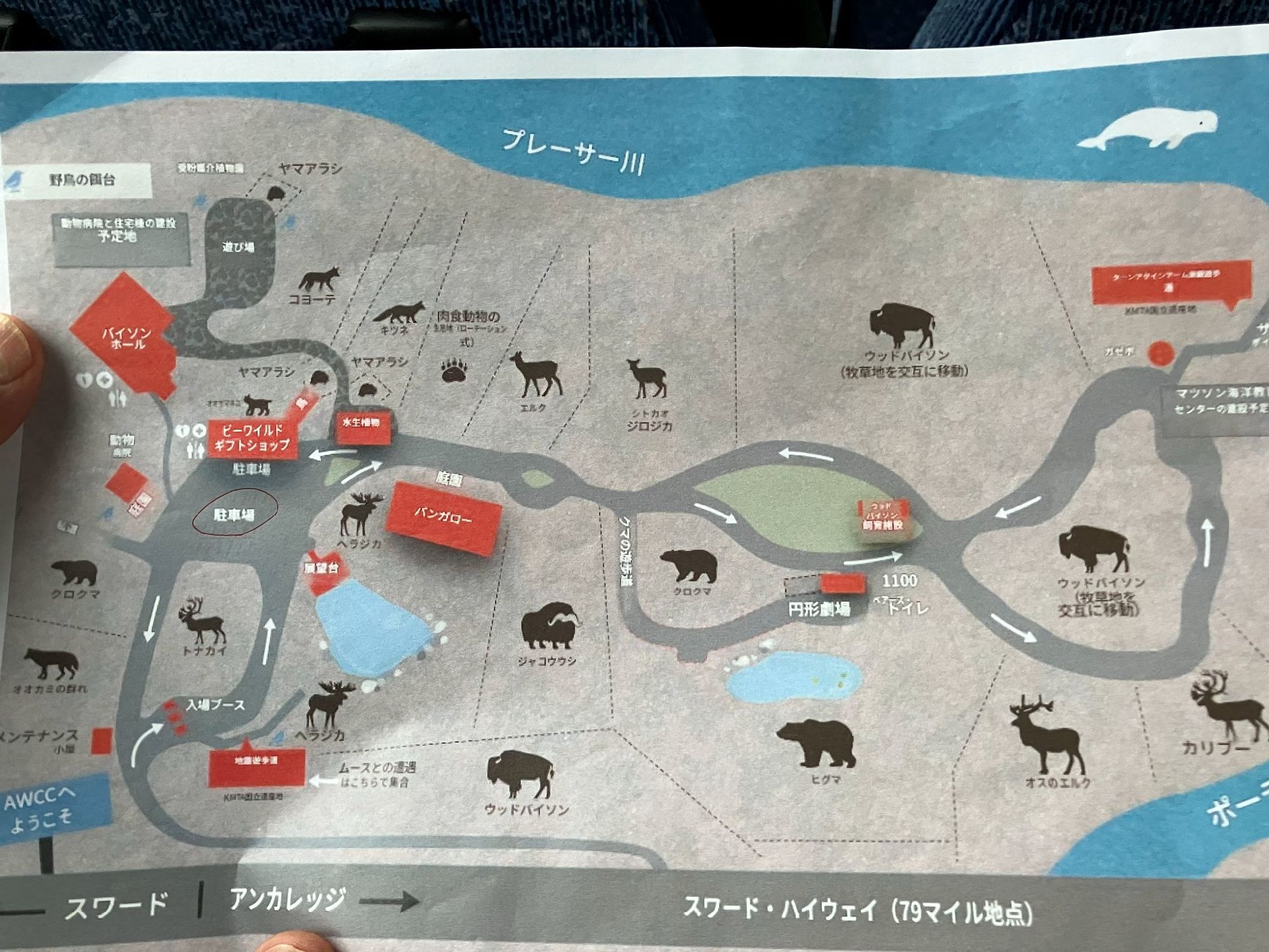 動物保護センター案内図