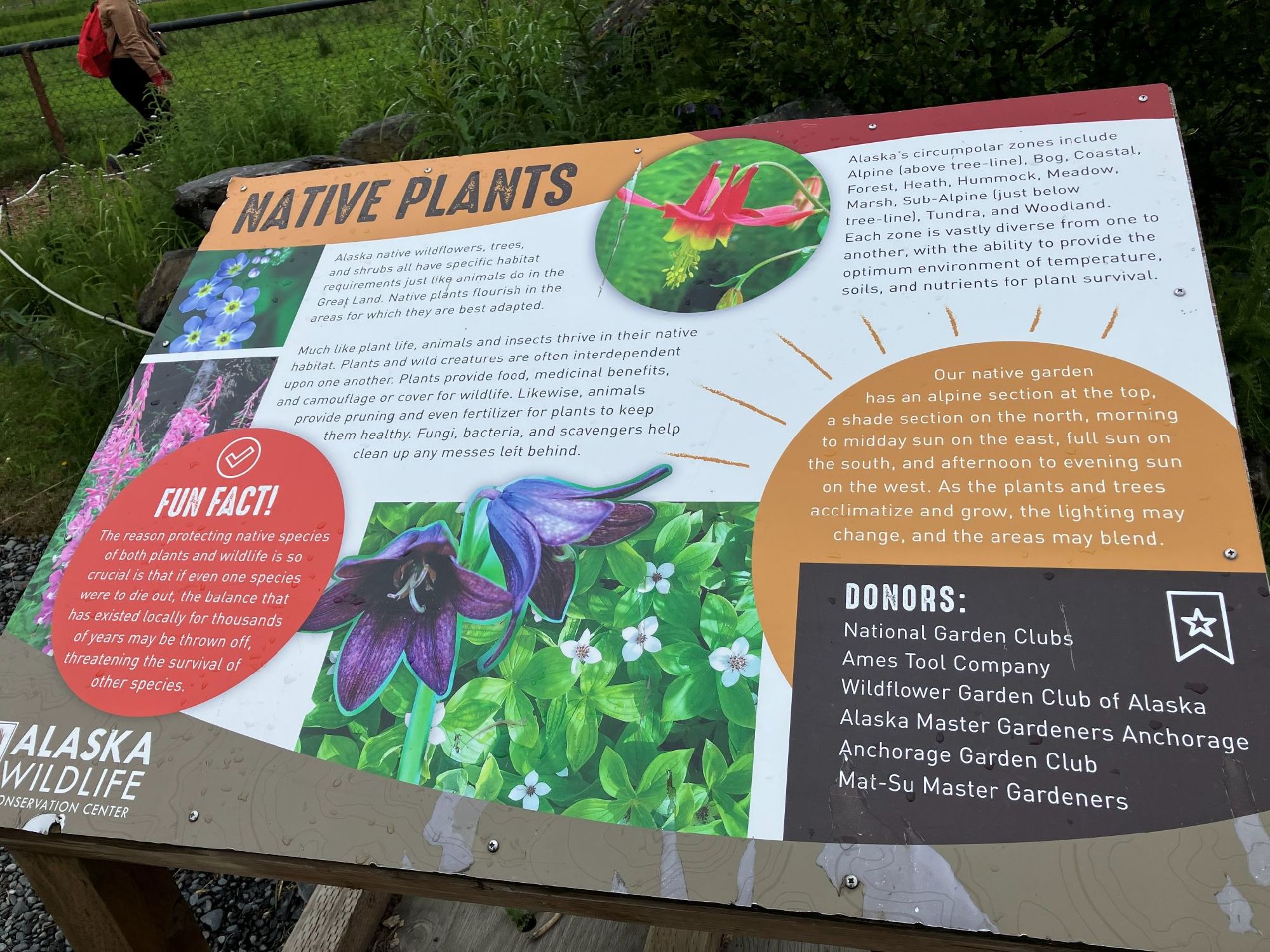 動物保護センター　野生植物に関する説明文