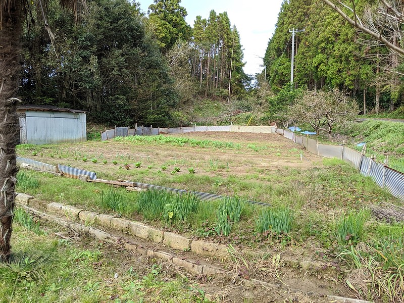 夷隅郡大多喜町の森