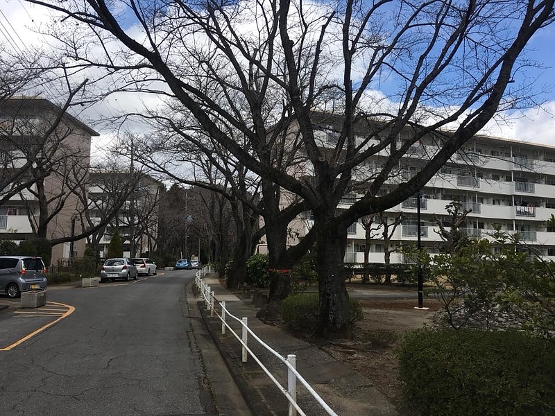 花見川団地2018年3月