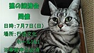 『猫の譲渡会（市川市）』