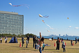 『浦安市子どもたこあげ大会（浦安市）』