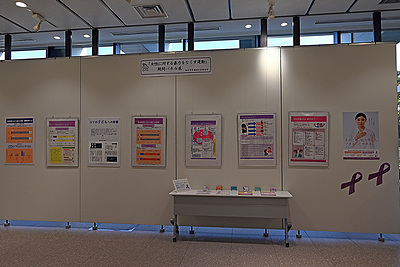 『女性に対する暴力をなくす運動期間パネル展（浦安市）』