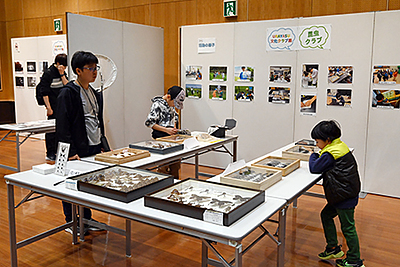 『URAYASU文化クラブ展（浦安市）』